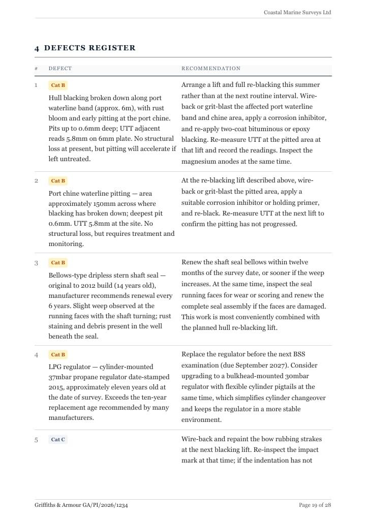 The Meadow Lark report's defects register, each defect with its category and recommendation